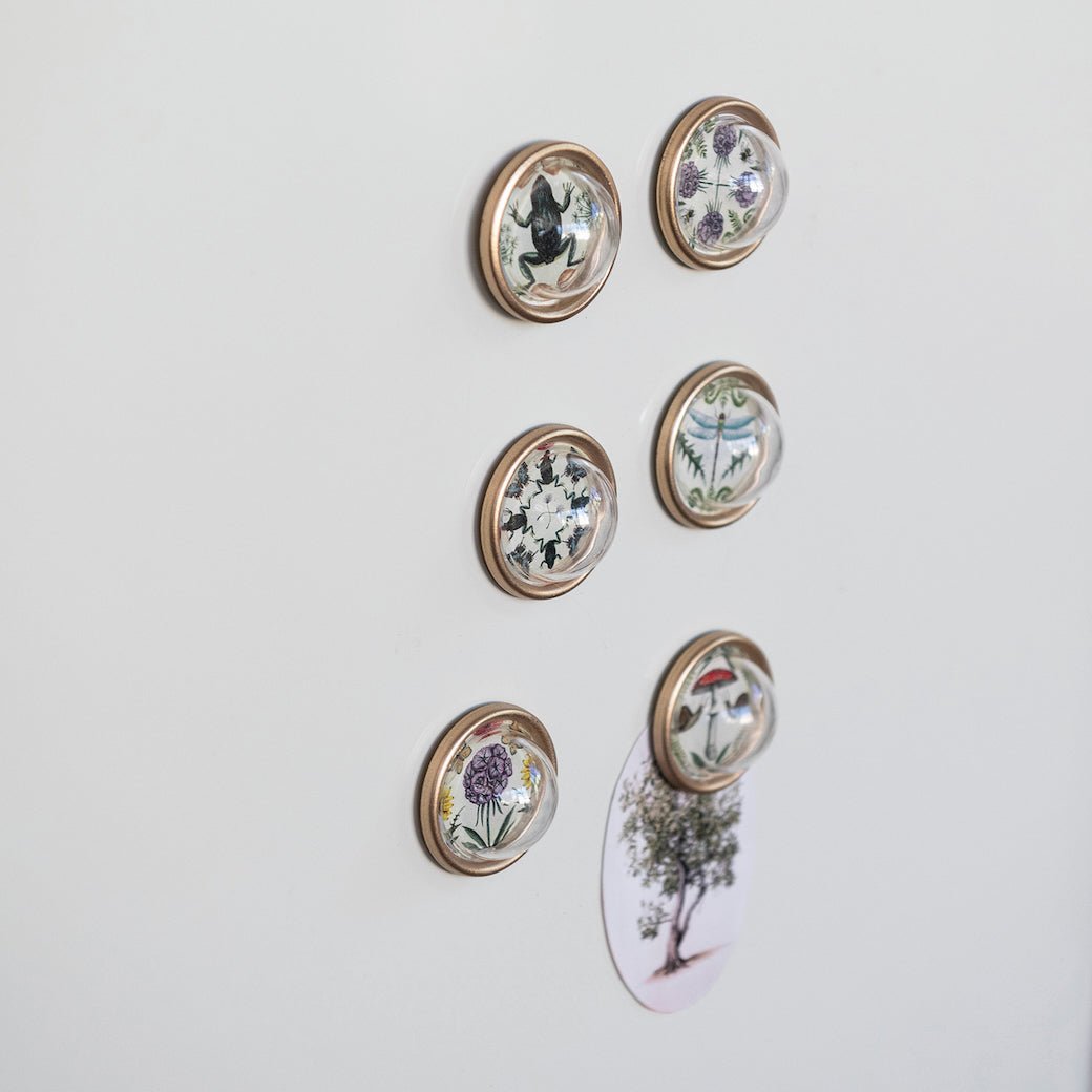 Set of Six Convex Magnets w Flora & Fauna - Marmalade Mercantile