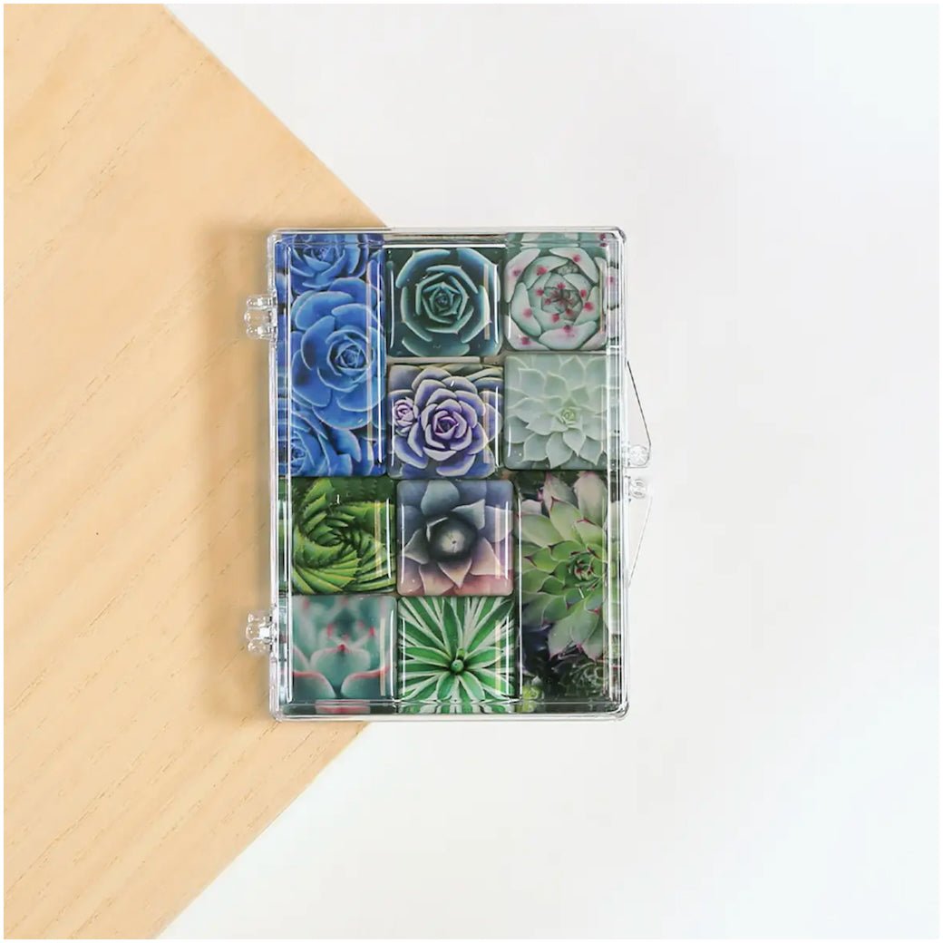 Set of Ten Mighty Magnets Succulents - Marmalade Mercantile