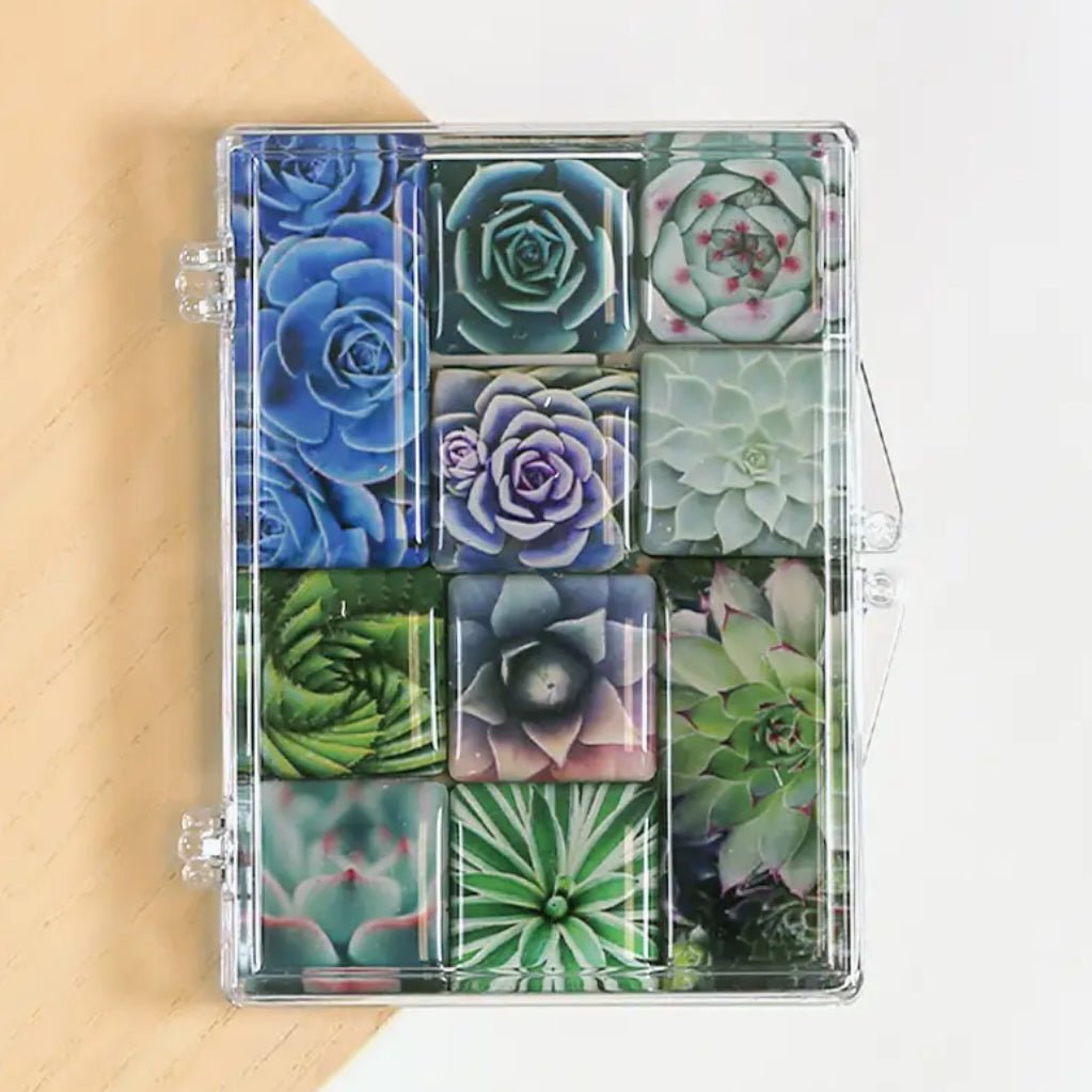 Set of Ten Mighty Magnets Succulents - Marmalade Mercantile