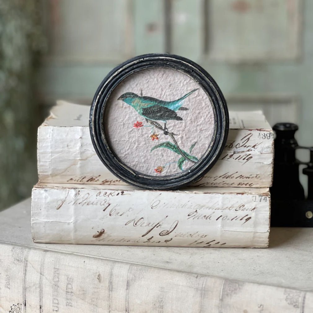 Set of Three Petite Perched Birds Round Framed Prints - Marmalade Mercantile