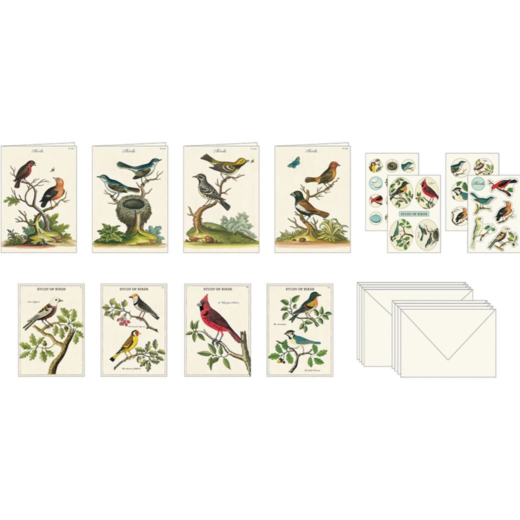 Study of Birds Stationery Set - Marmalade Mercantile