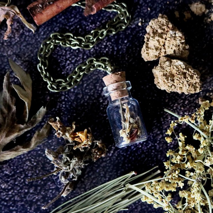 Transformation Amulet - Personal Growth Talisman Necklace w Monarch - Marmalade Mercantile