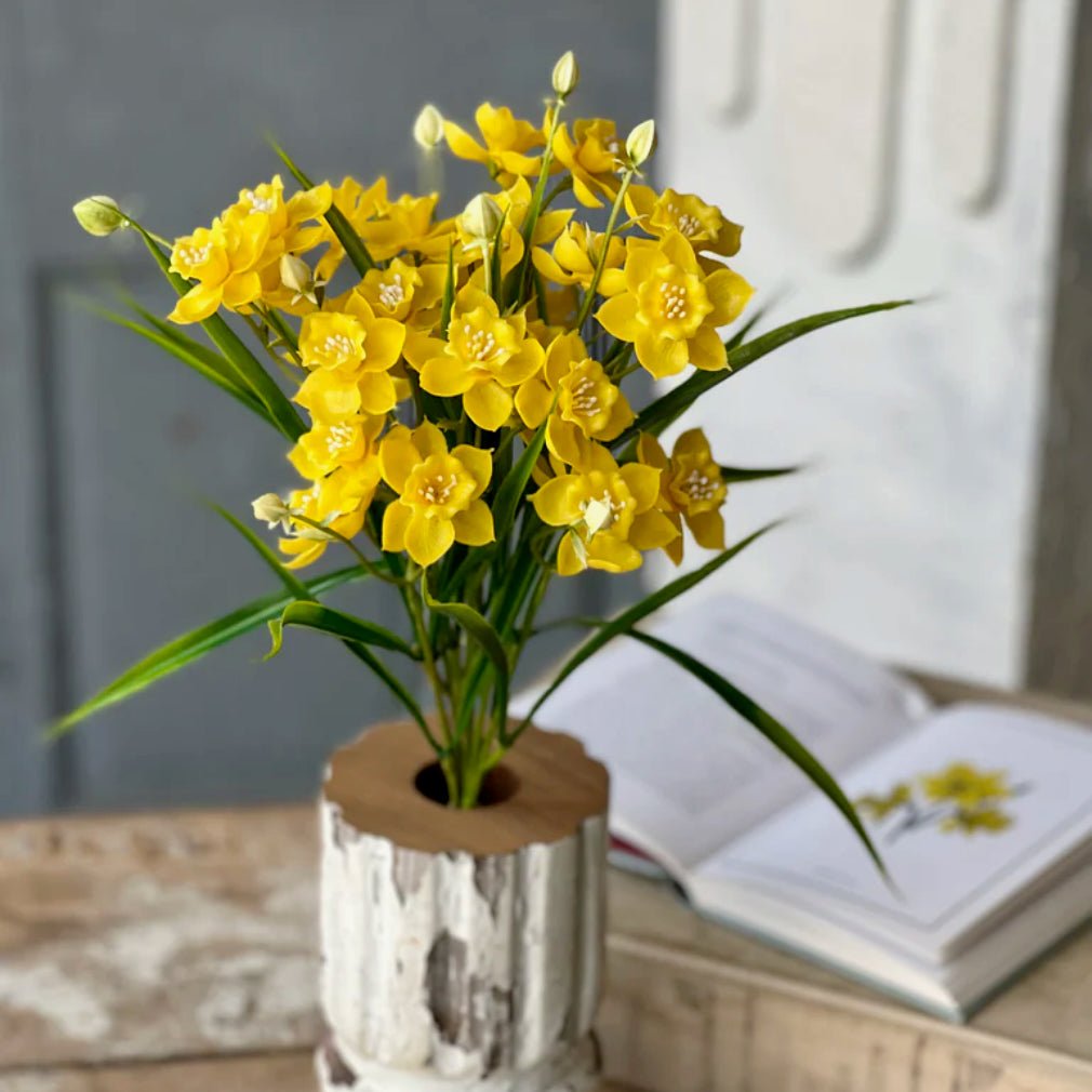 Yellow Daffodil Bundle - Marmalade Mercantile