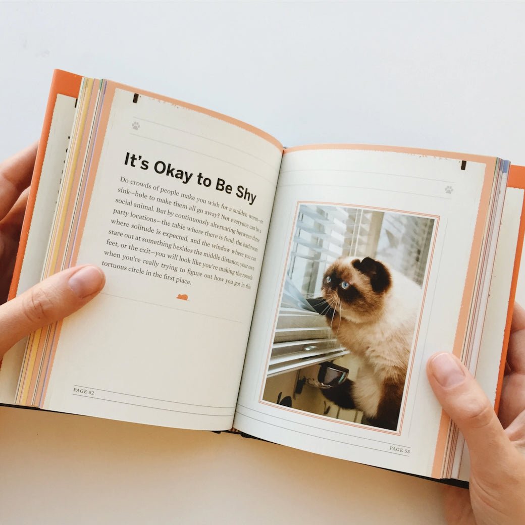 You Need More Sleep - Advice from Cats by Francesco Marciuliano - Marmalade Mercantile