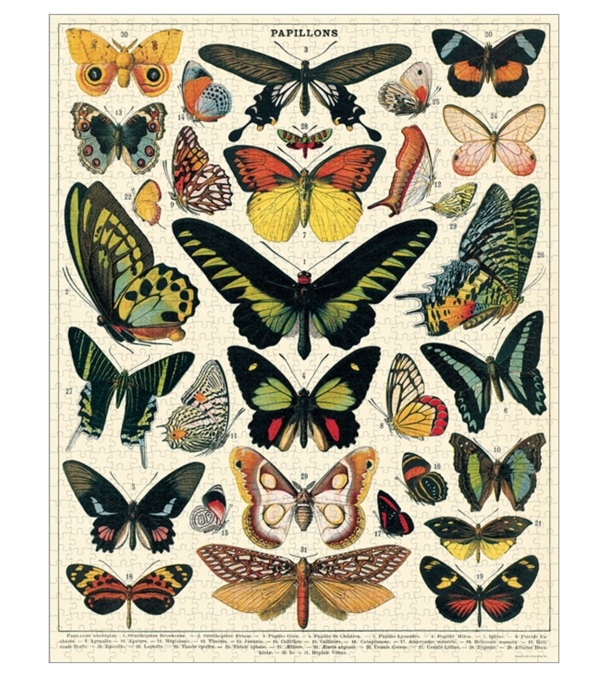 1000-Piece French Butterflies Papillons Jigsaw Puzzle - Marmalade Mercantile