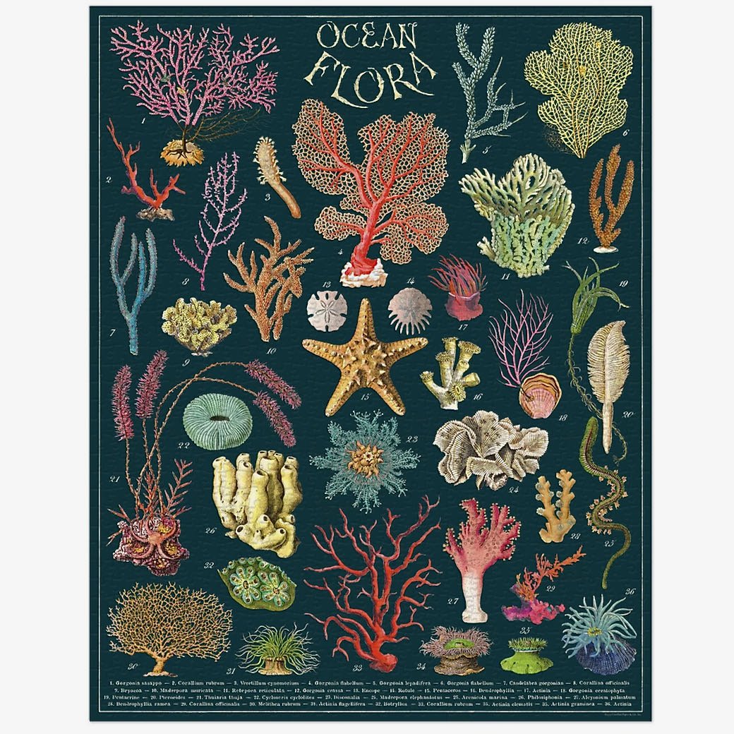 1000-Piece Jigsaw Puzzle Ocean Flora – Marmalade Mercantile