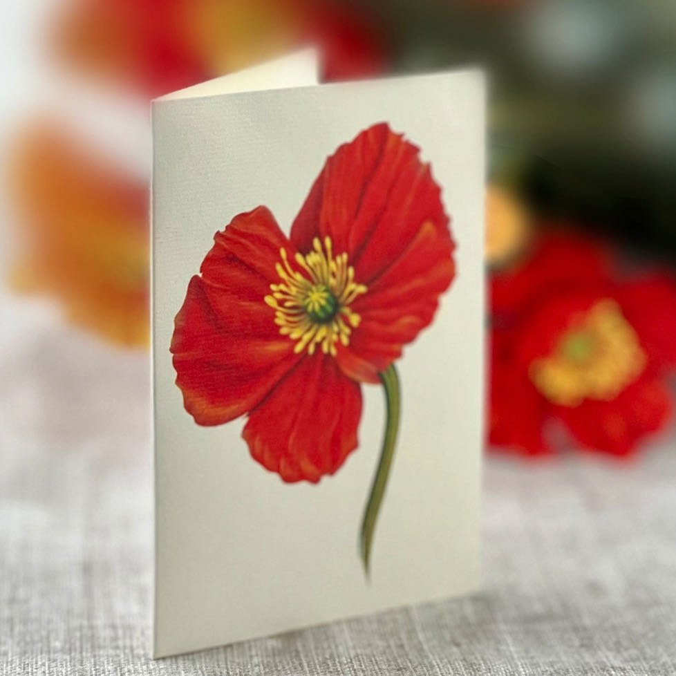 3-D Life-Sized Pop Up Bouquet Greeting Card French Poppies - Marmalade Mercantile