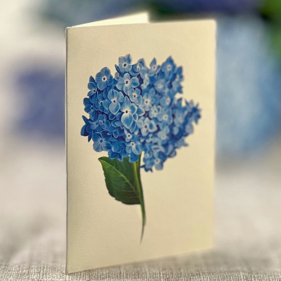 3-D Life-Sized Pop Up Greeting Card Blue Nantucket Hydranges - Marmalade Mercantile