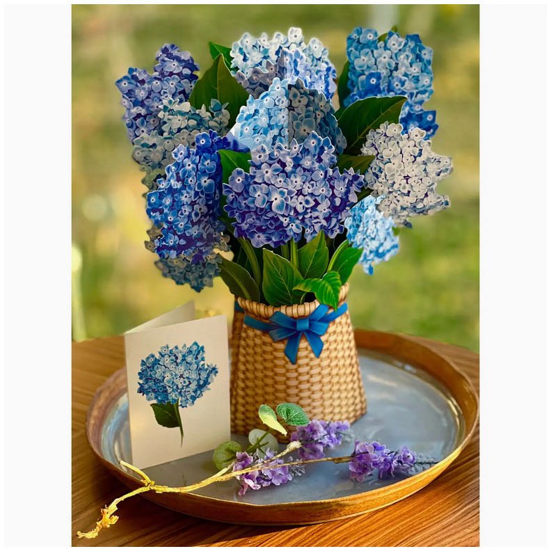 3-D Life-Sized Pop Up Greeting Card Blue Nantucket Hydranges - Marmalade Mercantile