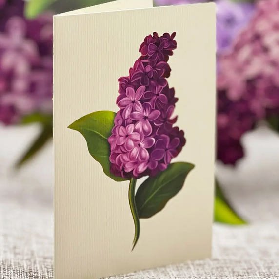 3-D Life-Sized Pop Up Greeting Card Garden Lilacs - Marmalade Mercantile