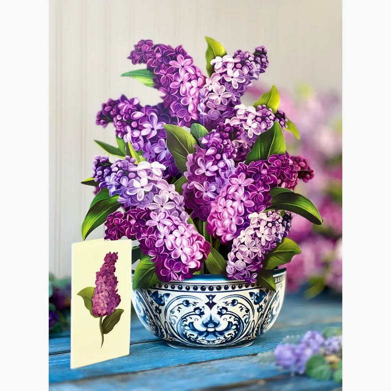 3-D Life-Sized Pop Up Greeting Card Garden Lilacs - Marmalade Mercantile