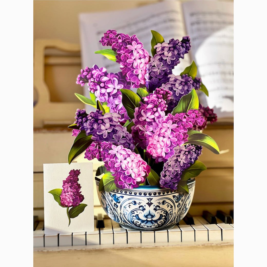 3-D Life-Sized Pop Up Greeting Card Garden Lilacs - Marmalade Mercantile