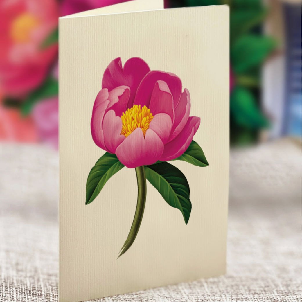 3-D Life-Sized Pop Up Greeting Card Peony Paradise - Marmalade Mercantile