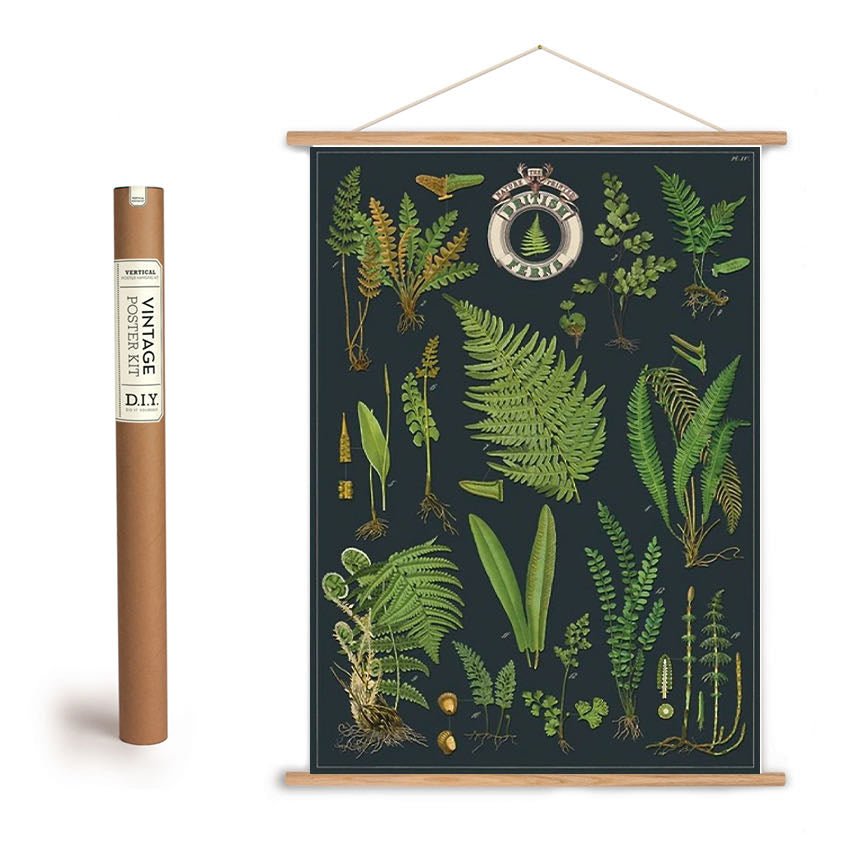 British Ferns Vintage-Style Botanical Chart Art Poster + hanging Kit - Marmalade Mercantile