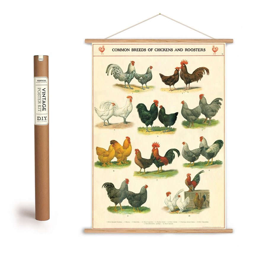 Common Breeds of Chickens and Roosters Poster + Hanging Kit - Marmalade Mercantile