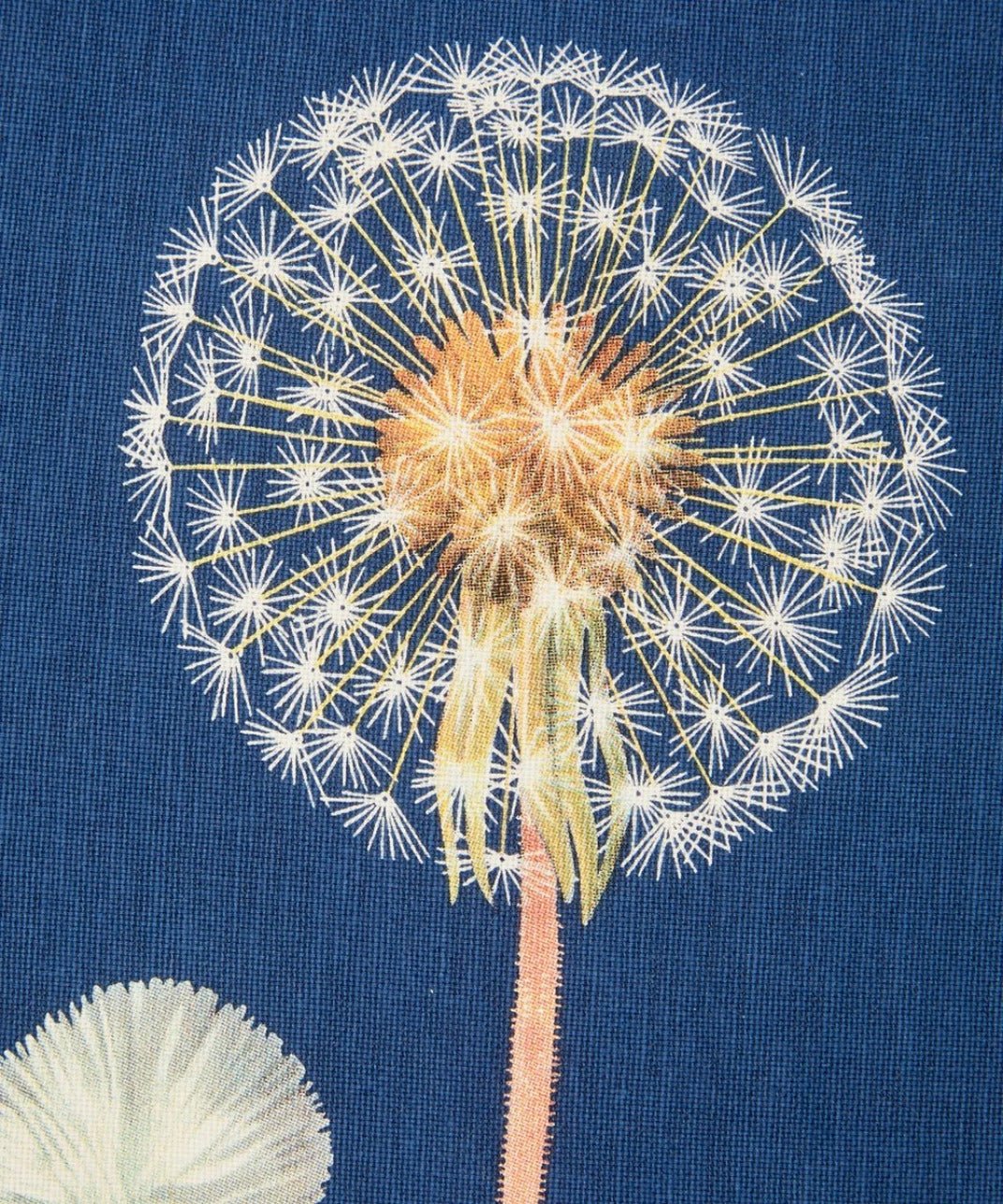 Dandelion Kitchen Towel Vintage Botanical Illustration - Marmalade Mercantile