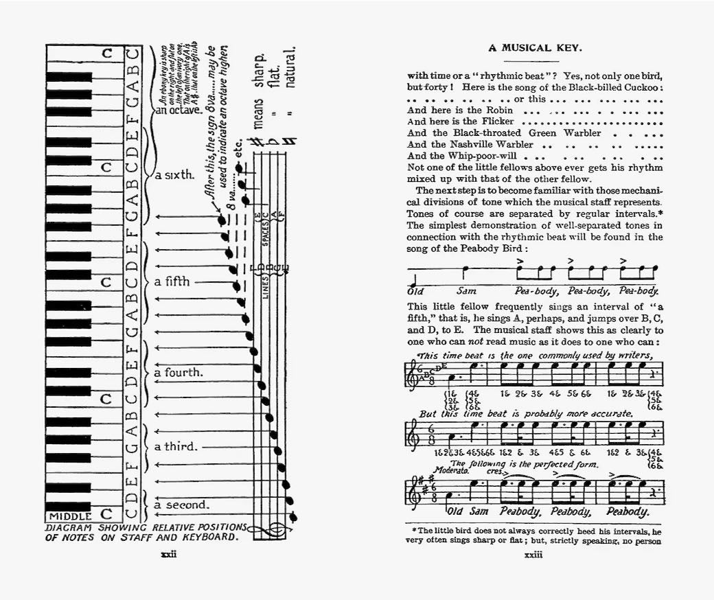 Field Book of Wild Birds and their Music - Marmalade Mercantile