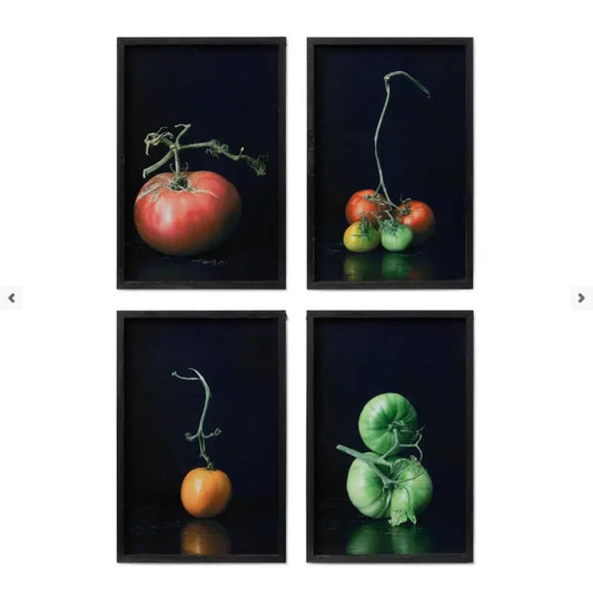 Framed Garden Variety Tomato Photo Prints CHOICE of Styles - Marmalade Mercantile