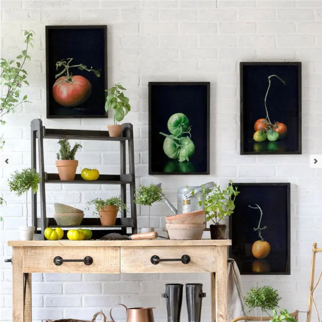 Framed Garden Variety Tomato Photo Prints CHOICE of Styles - Marmalade Mercantile