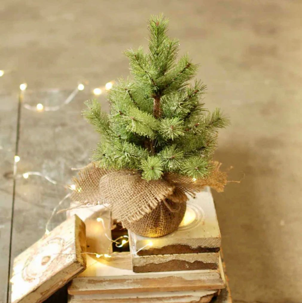 Icy Rocky Mountain Pine Tree 12" - Marmalade Mercantile