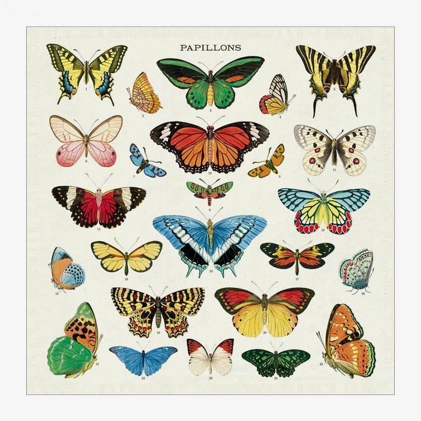 Set of Four Cloth Butterfly Papillons Napkins - Marmalade Mercantile
