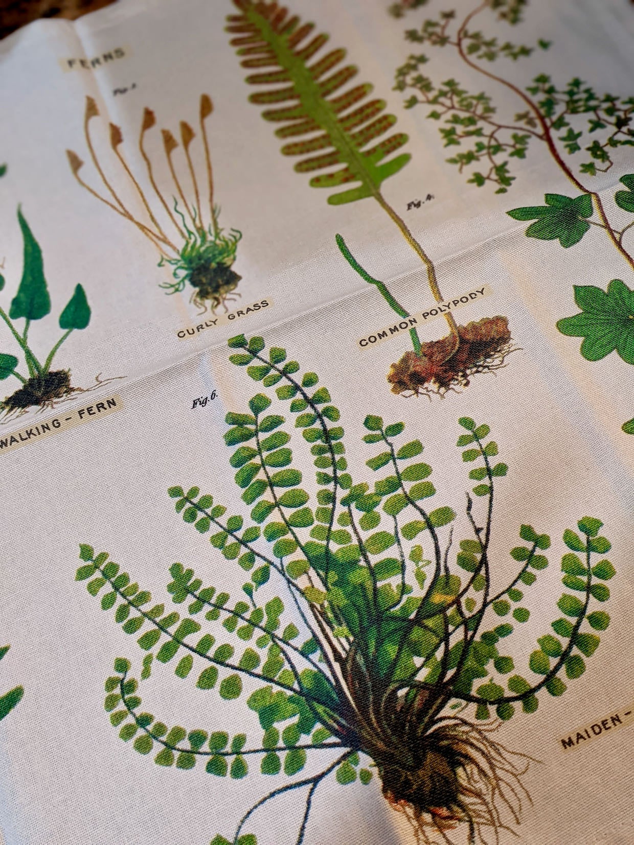 Set of Four Cloth Woodland Fern Napkins - Marmalade Mercantile