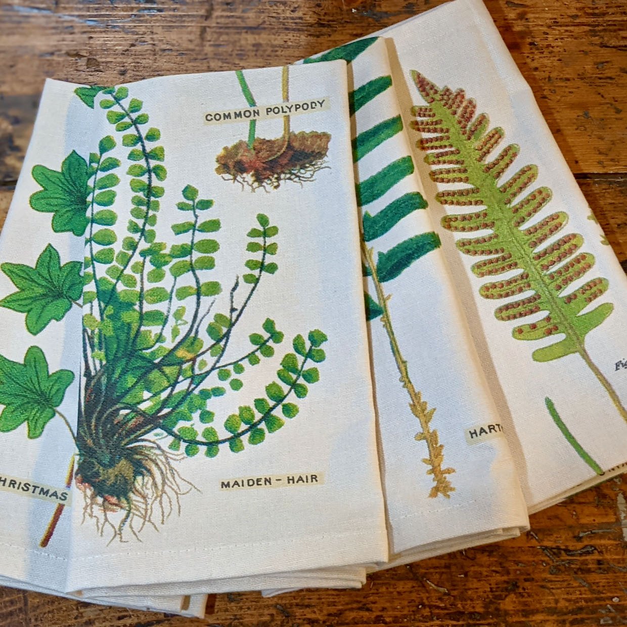 Set of Four Cloth Woodland Fern Napkins - Marmalade Mercantile