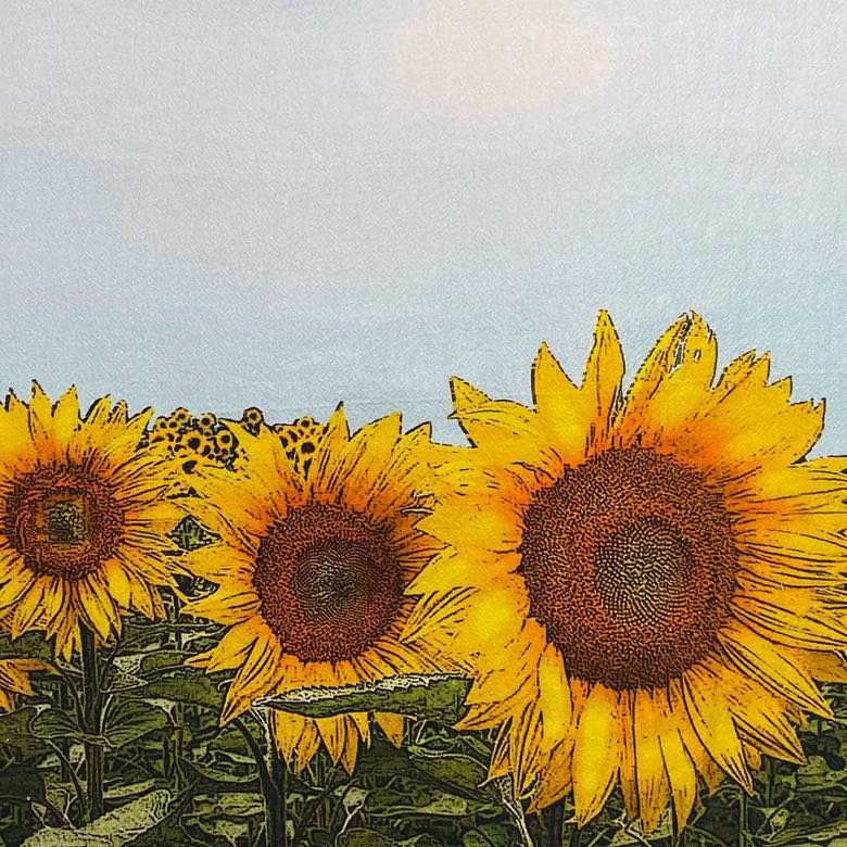 Sunflower Field and Blue Sky Flour Sack Kitchen Towel - Marmalade Mercantile