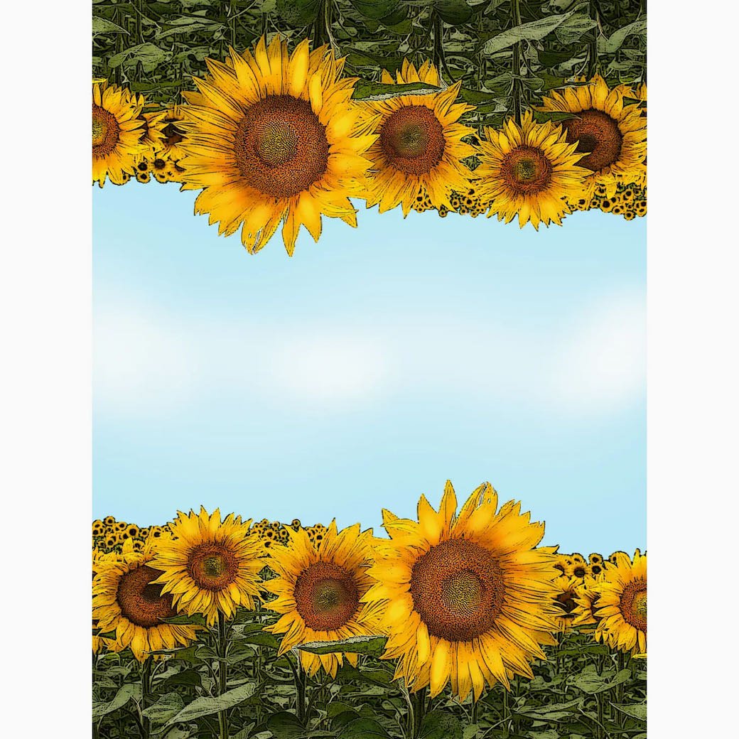 Sunflower Field and Blue Sky Flour Sack Kitchen Towel - Marmalade Mercantile