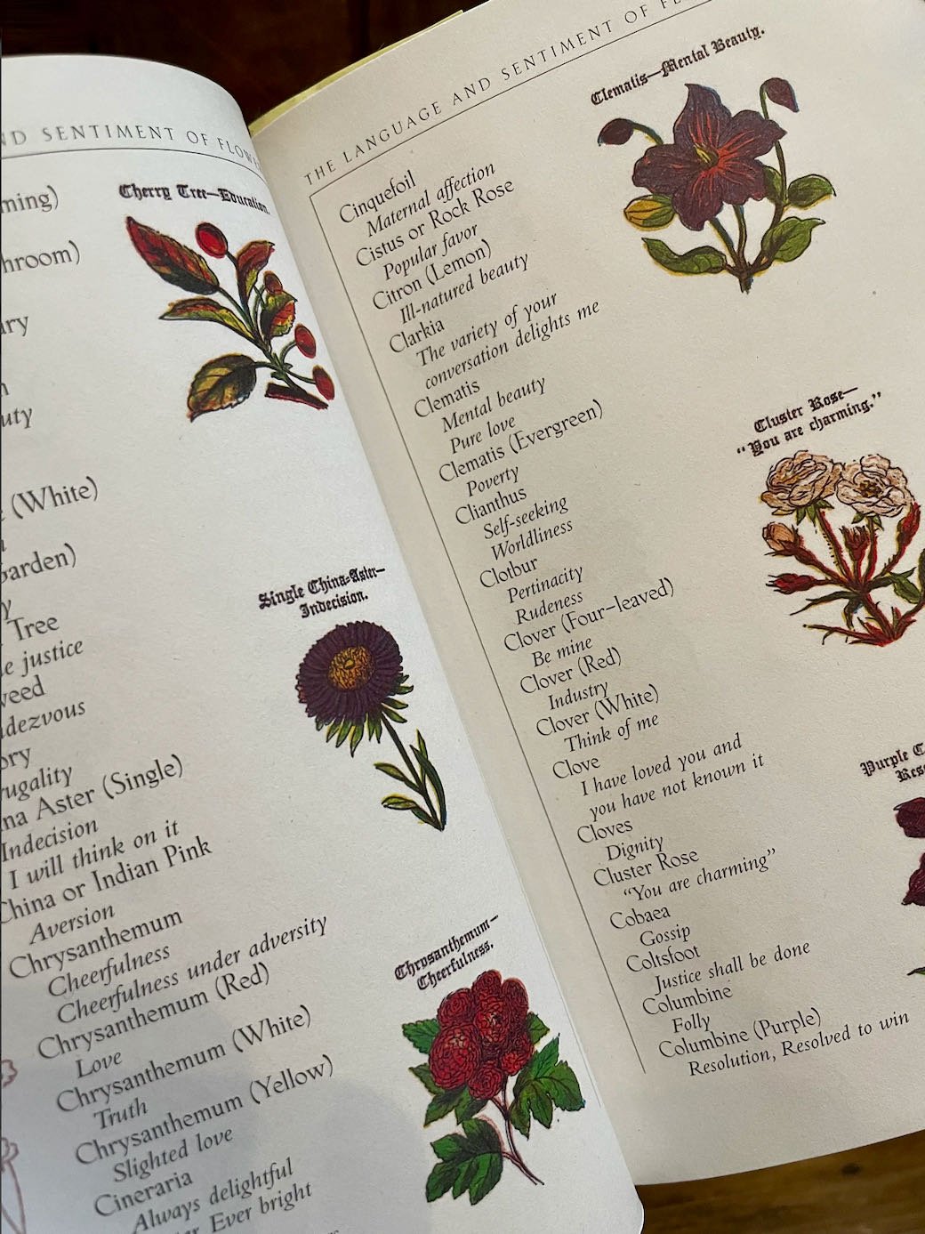 The Language and Sentiment of Flowers Illustrated Victorian Reproduction Book - Marmalade Mercantile