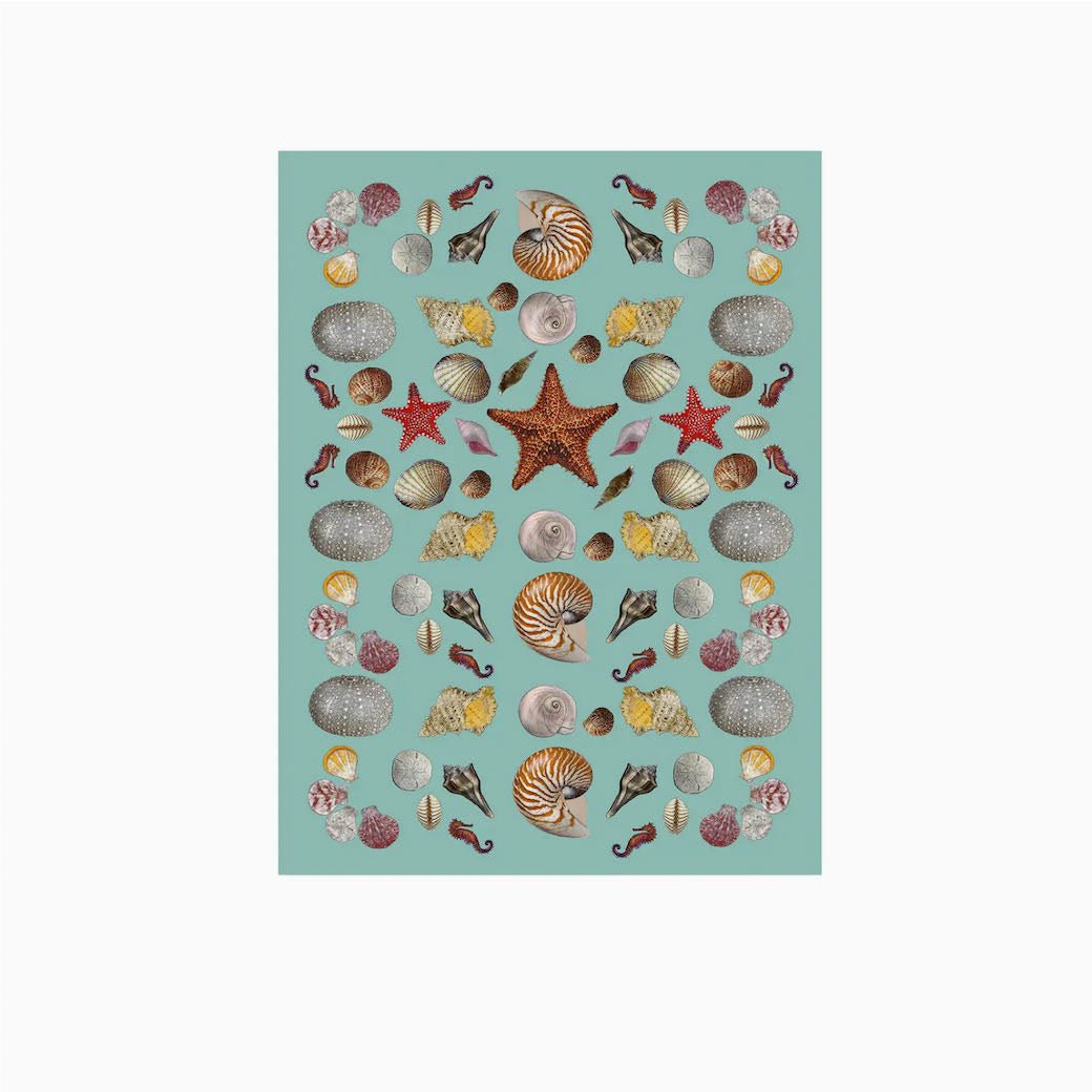 Under the Sea Cotton Flour Sack Towel Sea Shell Pattern - Marmalade Mercantile