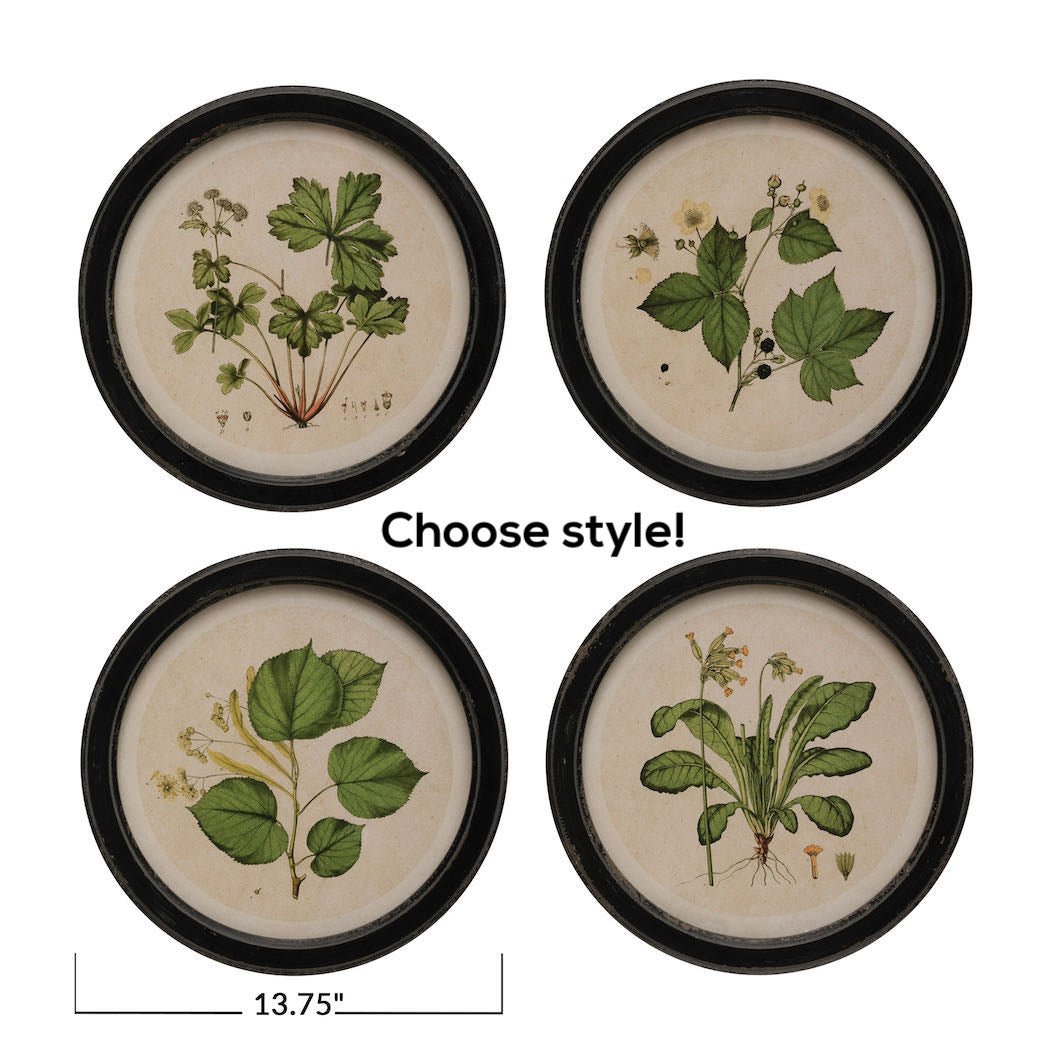 Vintage-Style Round Botanical Prints - CHOICE of 4 Styles - Marmalade Mercantile