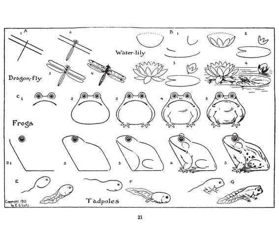 What to Draw and How to Draw It by E.G. Lutz - Marmalade Mercantile