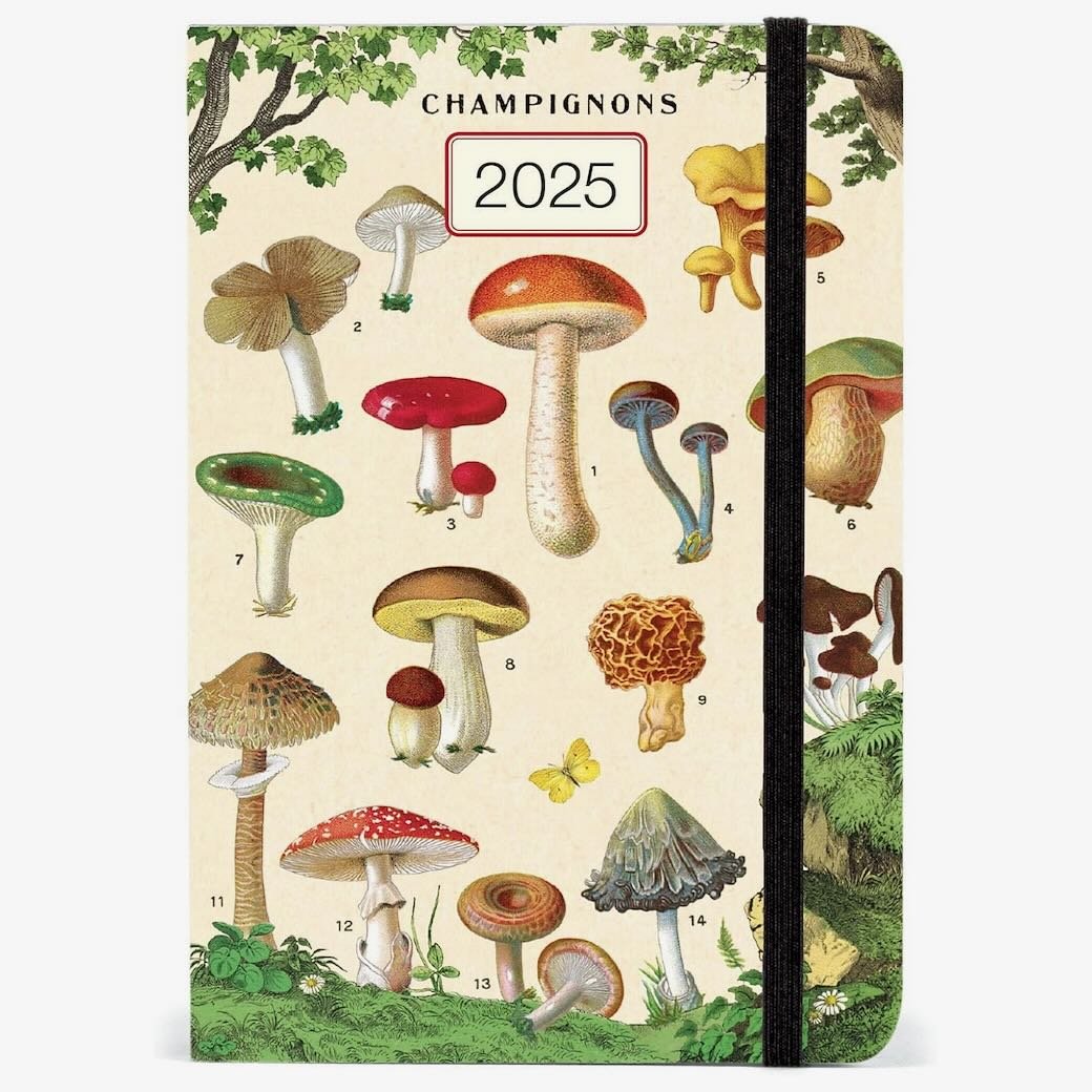 2025 Pocket Planner Mushroom - Marmalade Mercantile