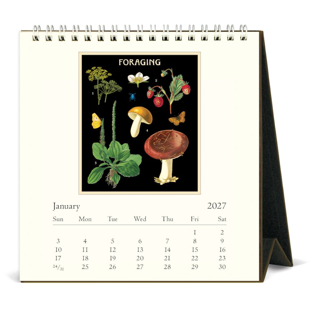 2027 Desk Calendar Foraging - Marmalade Mercantile
