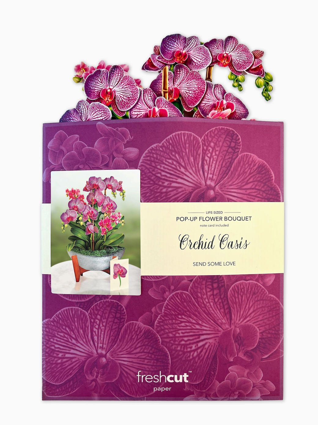 3-D Life-Sized Pop Up Greeting Card Orchid Oasis - Marmalade Mercantile