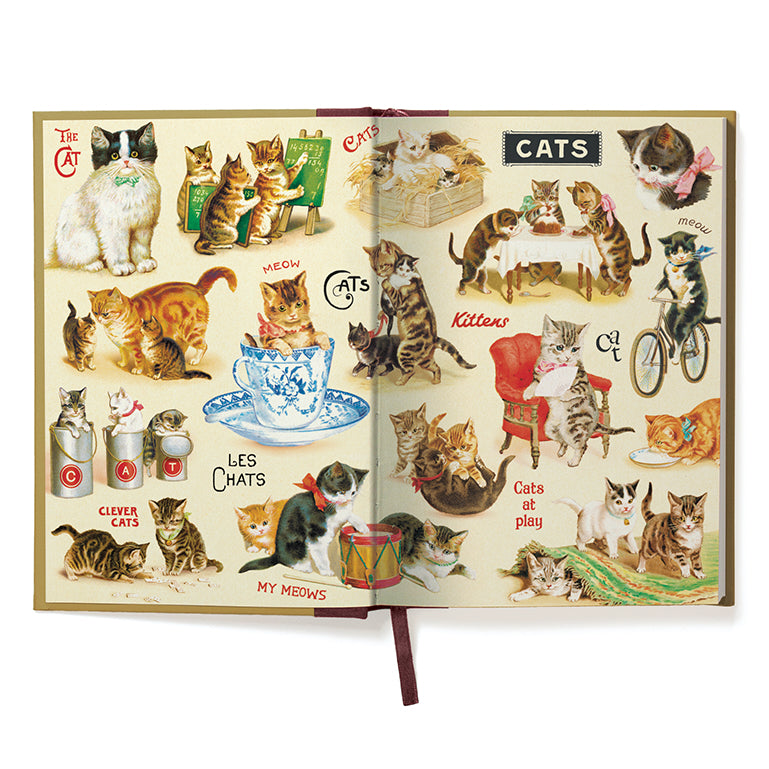 Cats & Kittens Window Journal