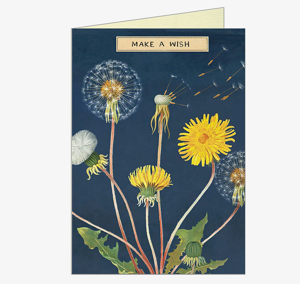Make a Wish Dandelion Birthday Greeting Card