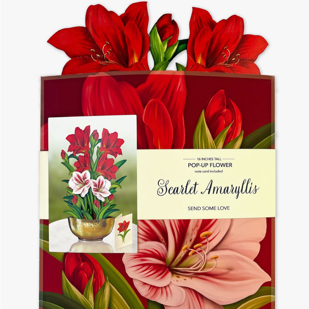 Life-sized Pop-up Bouquet Greeting Card Scarlet Amaryllis