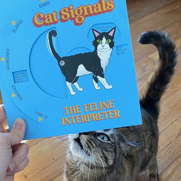 Cat Signals Feline Interpreter Wheel