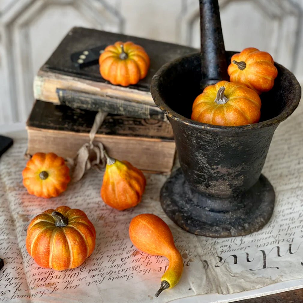Bagged Set of Seven Mini Forever Hooligan Pumpkins & Gourds - Marmalade Mercantile