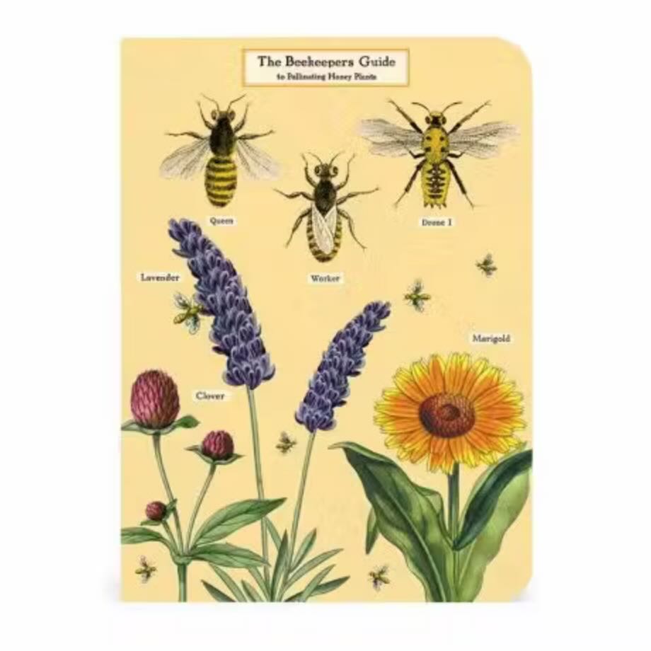 Bees & Honey Mini Pocket Notebooks Set of 3 - Marmalade Mercantile