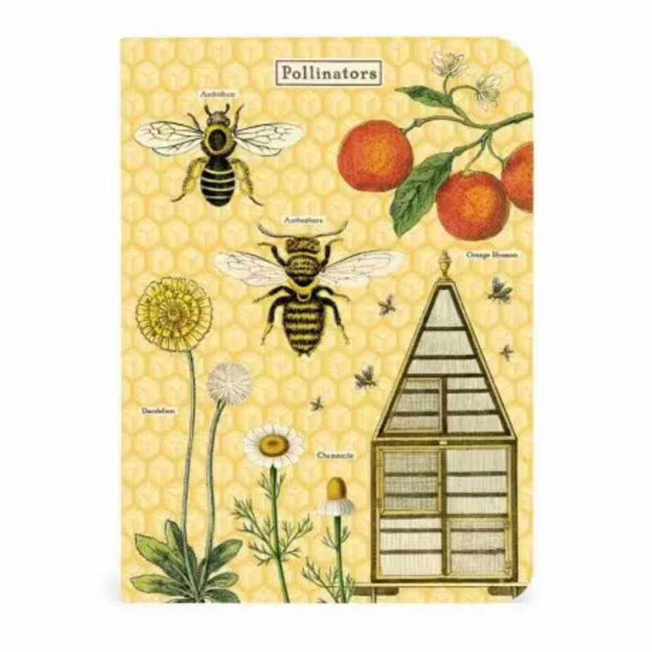 Bees & Honey Mini Pocket Notebooks Set of 3 - Marmalade Mercantile