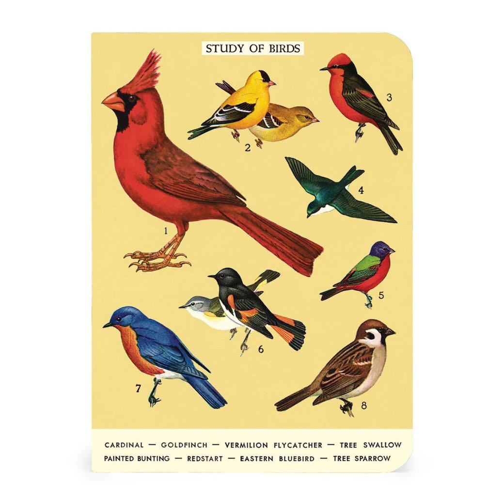 Birdwatching Mini Pocket Notebooks Set of 3 - Marmalade Mercantile