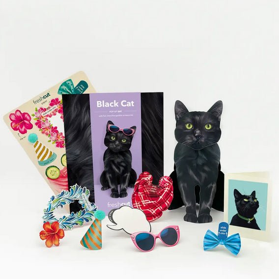 Black Cat Pop Up Greeting Card with Dress Up Accessories - Marmalade Mercantile