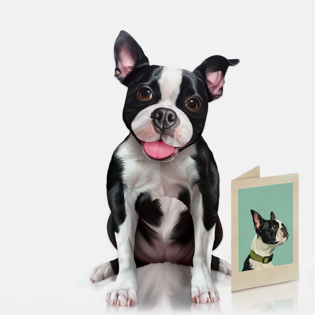 Boston Terrier Pop Up Pup Greeting Card w Dress Up Kit - Marmalade Mercantile
