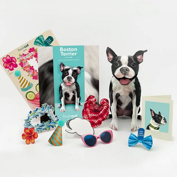 Boston Terrier Pop Up Pup Greeting Card w Dress Up Kit - Marmalade Mercantile