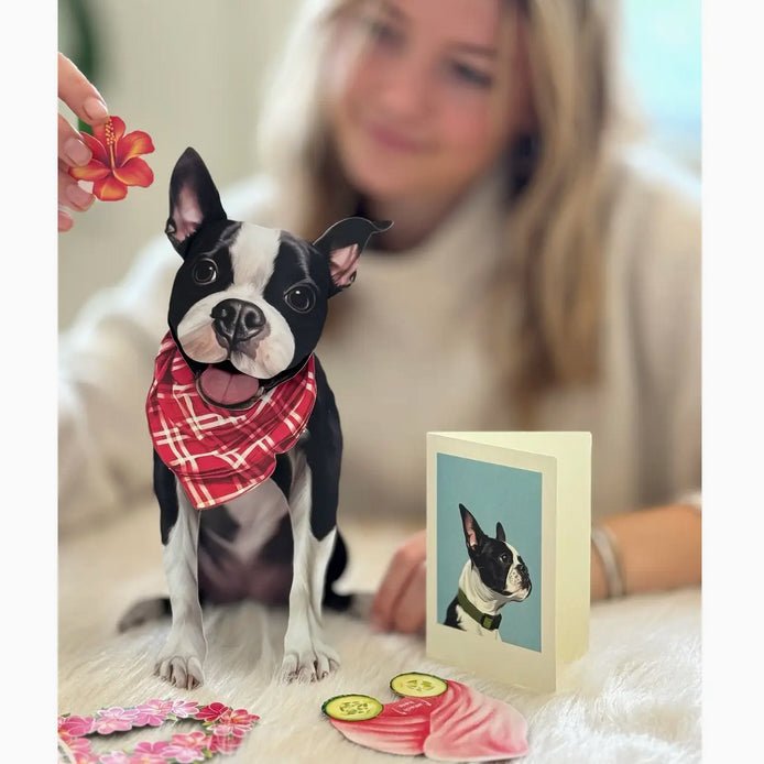 Boston Terrier Pop Up Pup Greeting Card w Dress Up Kit - Marmalade Mercantile