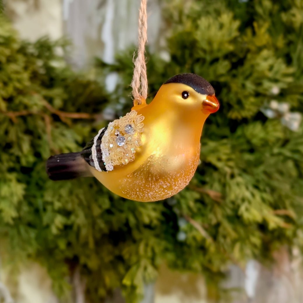 Boxed Set of Six Colorful Glass Bird Christmas Ornaments - Marmalade Mercantile