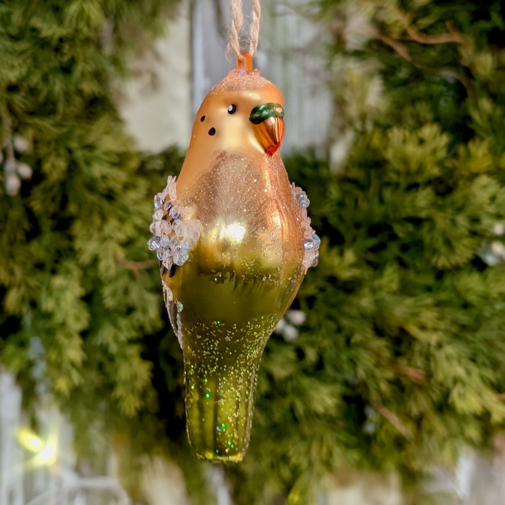 Boxed Set of Six Colorful Glass Bird Christmas Ornaments - Marmalade Mercantile